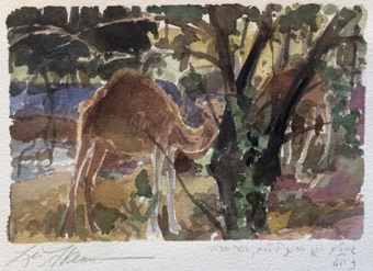 Camel Camel